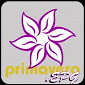 Primavera Guidance - EPG Apk APK